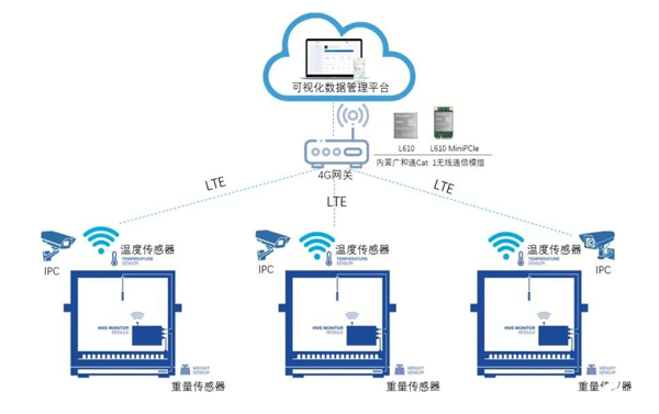 蜂箱解決方案